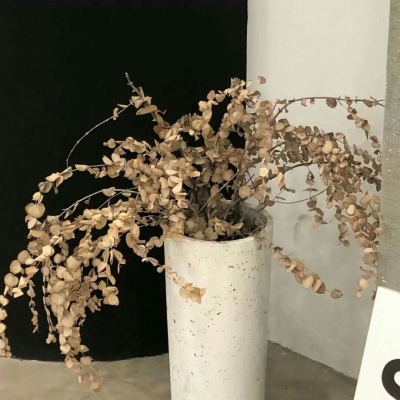 Furry绘画细节技巧FurryQQ群